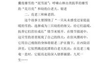 散步读后感300字