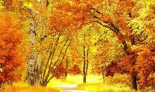 以风景为话题的作文