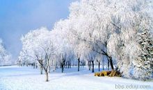 冬天的景色作文150字