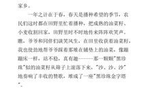 游览风景名胜的作文