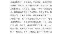 买年货作文300字