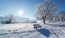 冬天的景色作文100字