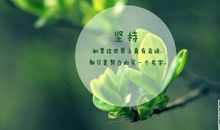 成功在于坚持作文400字