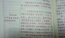 成功的喜悦作文350字