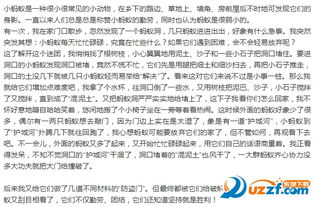 初中作文挫折