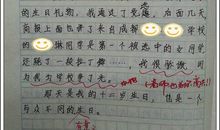 游戏的乐趣作文