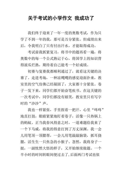 我作文成功