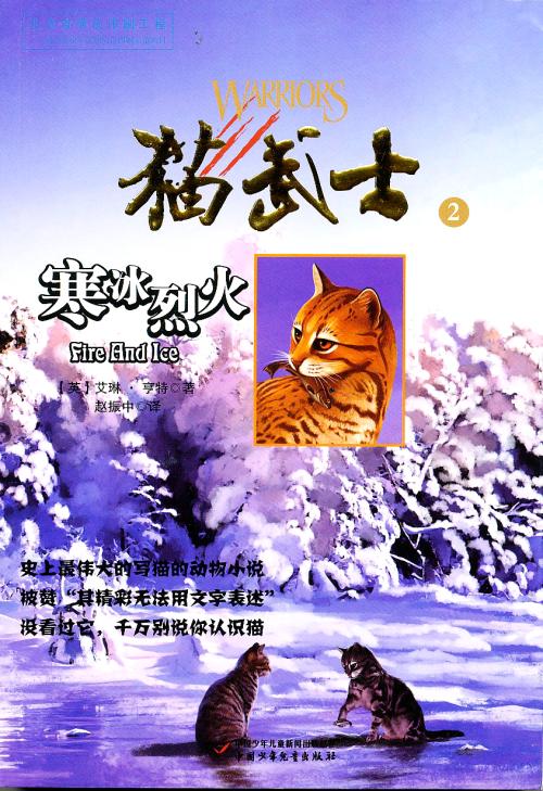 看完猫武士