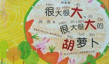 透明的胡萝卜读后感