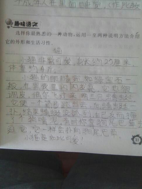 描述动物外观的成分