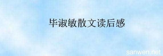 关于毕淑敏选集散文的思考