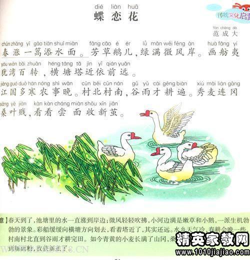 胡杨
