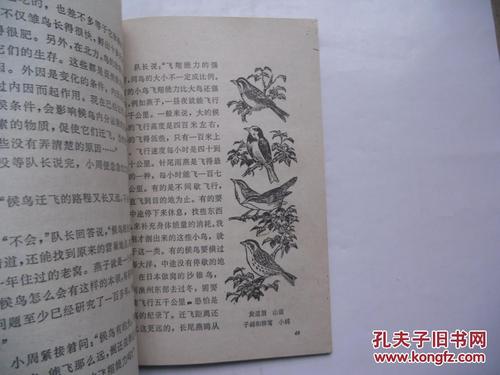 蛇岛的秘密