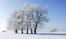 描写冬天景色的美文