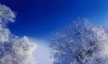 描写冬天雪景的美文