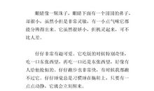 写泰迪狗的作文500字