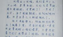 校园里发生的事作文