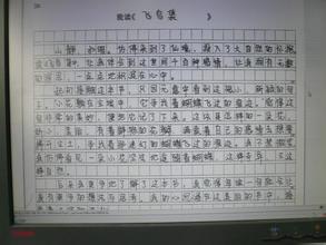 十一个有趣的事实组成500个单词