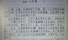 十一趣事作文500字