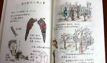 生命生命读后感250字