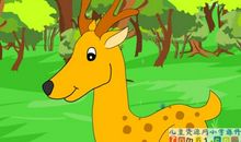 狮子和鹿读后感