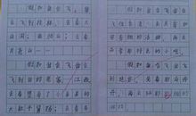 世界杯作文200字