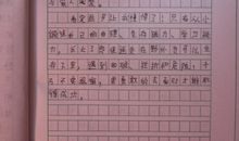 作文鲁宾逊漂流记读后感