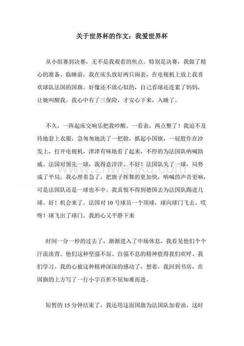 世界杯组成350字