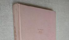 失落的玫瑰读后感