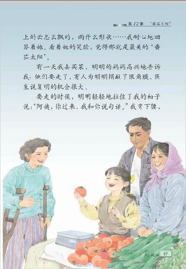 看完《番茄太阳》