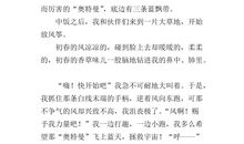 写春游的作文600字