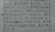 最后的一天读后感