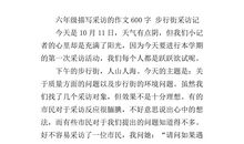 描写电脑的作文600字