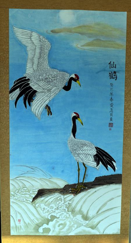 关于爱与保护鸟类的作品