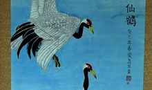 关于爱鸟护鸟的作文