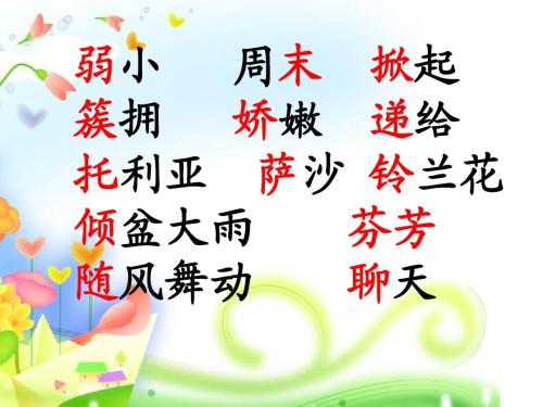 看完书我不是最弱者