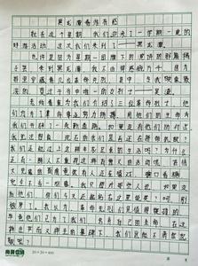 关于成长成分的300个单词