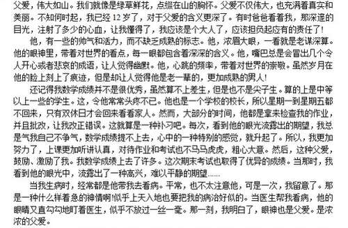 赞美父亲的作文