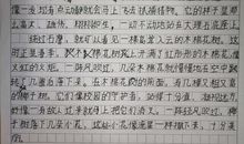 春天在哪里作文