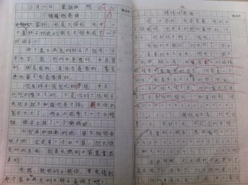 800字写作春游