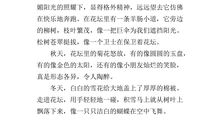 妈妈的手作文300字