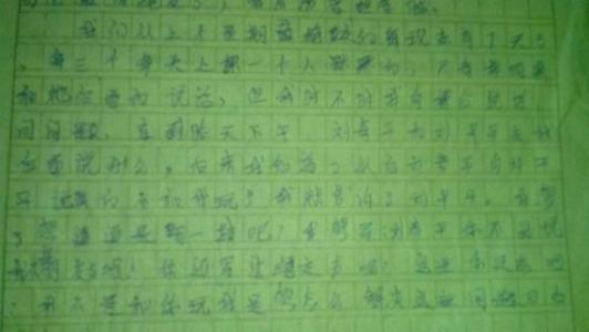 第一个烹饪成分为500个字