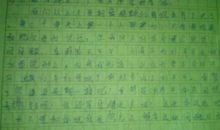 第一次做饭作文500字