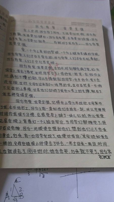 坚强的人组成