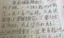 各有各的精彩作文