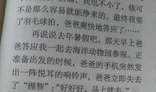 一个人在家的作文