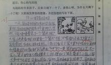 世界杯作文900字