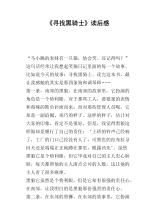 寻找黑骑士