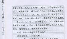 世界杯作文400字