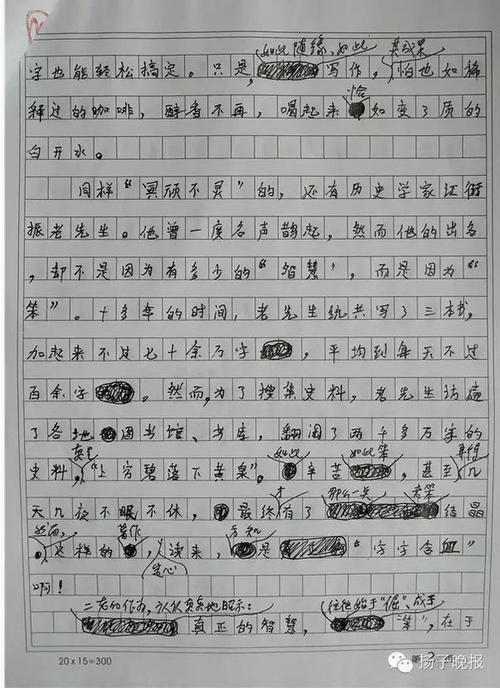 2014年高考全场作文安徽试卷：手势中的变化